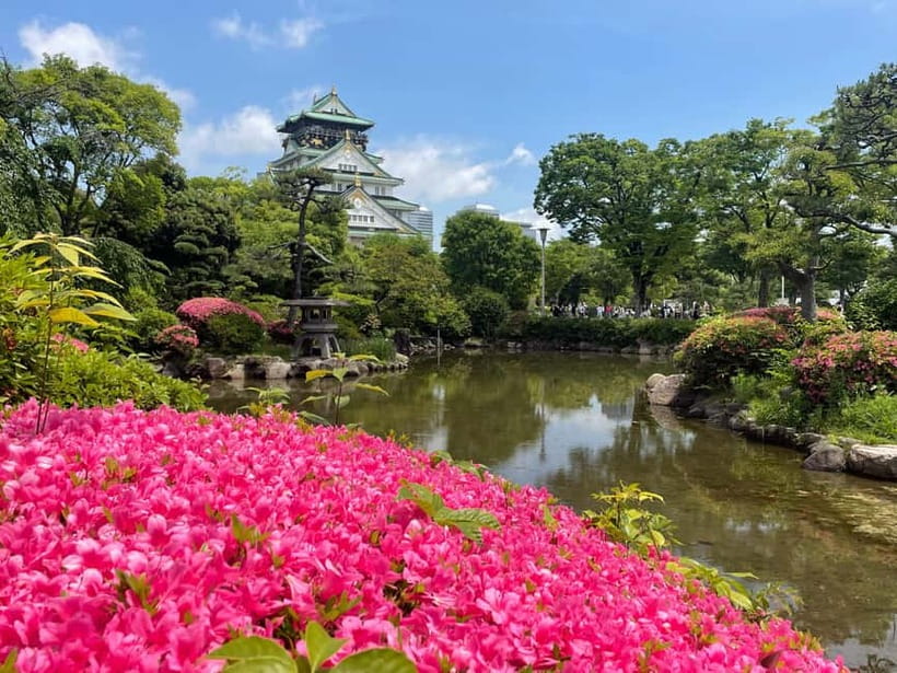 Osaka: City Highlights Bike Tour - Why a Guided Bike Tour Works So Well in Osaka