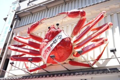 Osaka Early Morning Tour with English-Speaking Guide Dotonbori