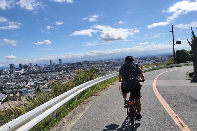 Osaka Half-day E-bike Adventure: Minoh Falls & Katsuoji Temple - Key things to know before you go