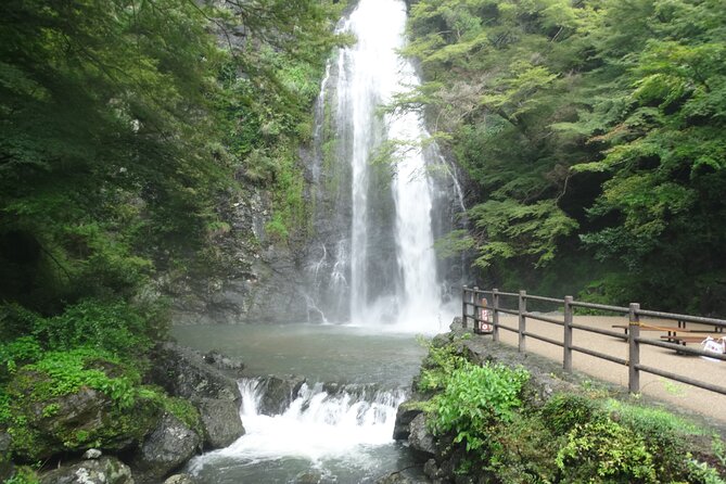Osaka Half-day E-bike Adventure: Minoh Falls & Katsuoji Temple - Start at Minoh Cycles, near Sakurai Station (and why that matters)