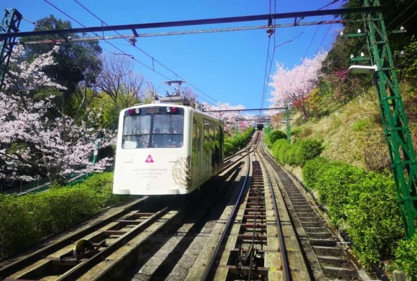 Osaka/Kyoto: Amanohashidate & Miyama Tour with Boat & Lunch - Who this tour fits best