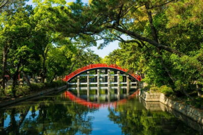 Kyoto and Nara Private Day Trip