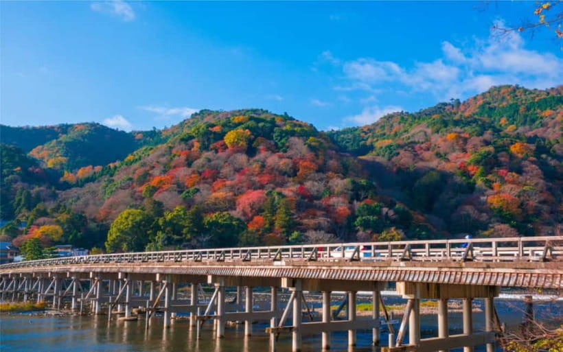Osaka: Kyoto and Nara Private Day Trip - Kinkaku-ji Golden Pavilion: Why the Gold Leaves You Speechless