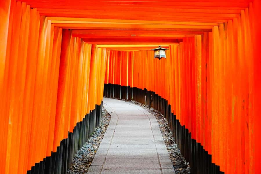 Osaka/Kyoto: Arashiyama, Nara & Fushimi Inari Shrine w/Lunch - Arashiyama Bamboo Forest: the walk that sets the mood