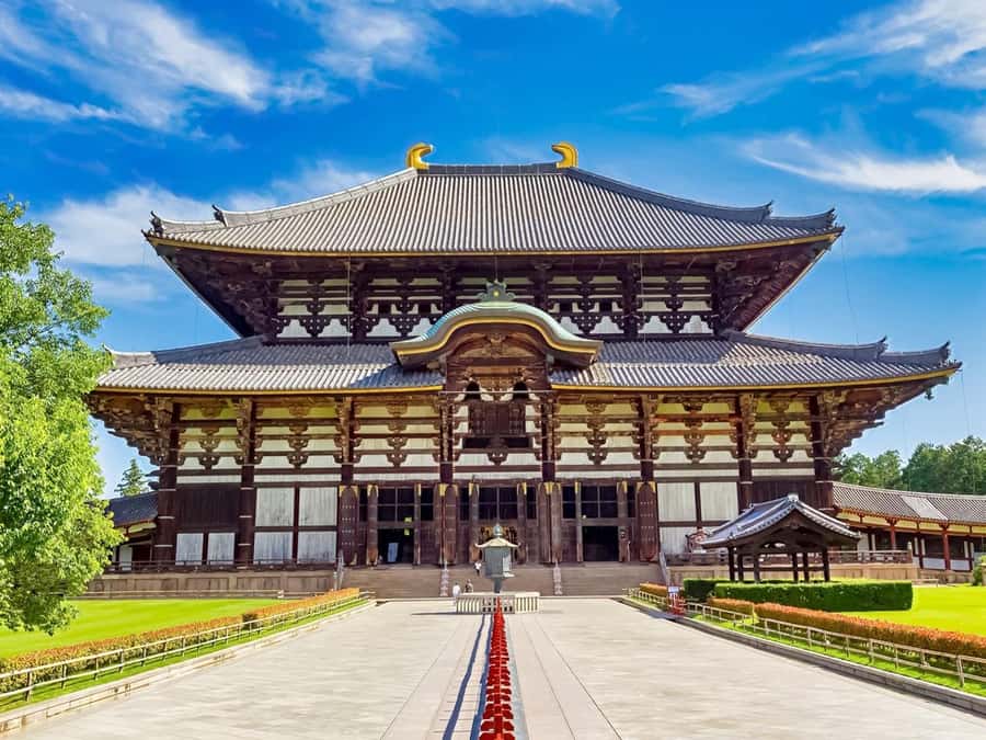 Osaka/Kyoto: Arashiyama, Nara & Fushimi Inari Shrine w/Lunch - Nara Park: deer time with real-life etiquette