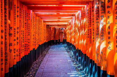 Osaka/Kyoto: Arashiyama, Nara Park, Fushimi Shrine Tour