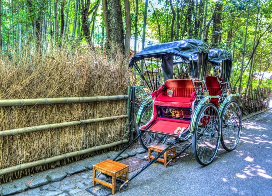 Osaka/Kyoto: Arashiyama, Nara Park, Fushimi Shrine Tour - The guide situation: mostly Chinese, plus a driver who helps