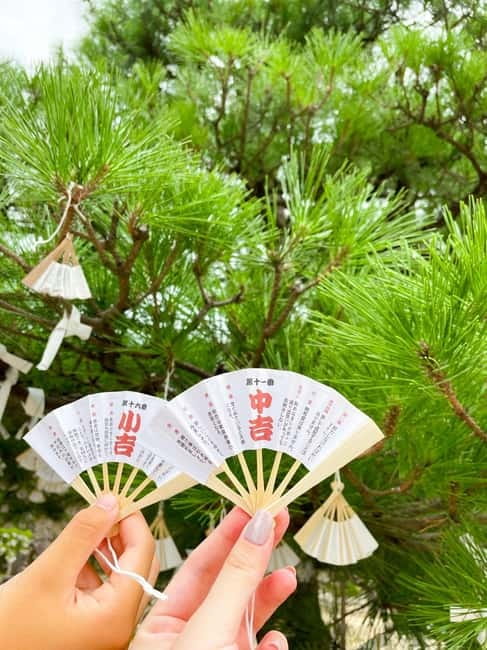 Osaka: Kyoto By The Sea with Amanohashidate & Ine no Funaya - Pace, timing, and how to use your free time