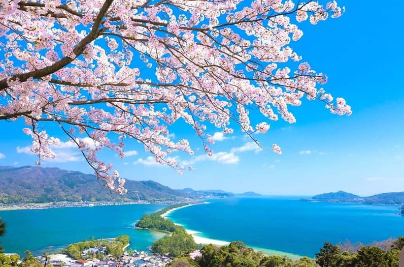Osaka: Kyoto By The Sea with Amanohashidate & Ine no Funaya - Who this tour suits best