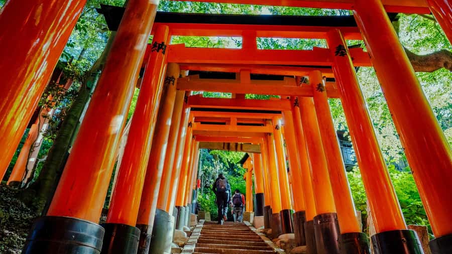 Osaka/Kyoto:Kinkakuji,Arashiyama,FushimiInariShrine,NaraPark - A One-Day Hit List From Osaka or Kyoto