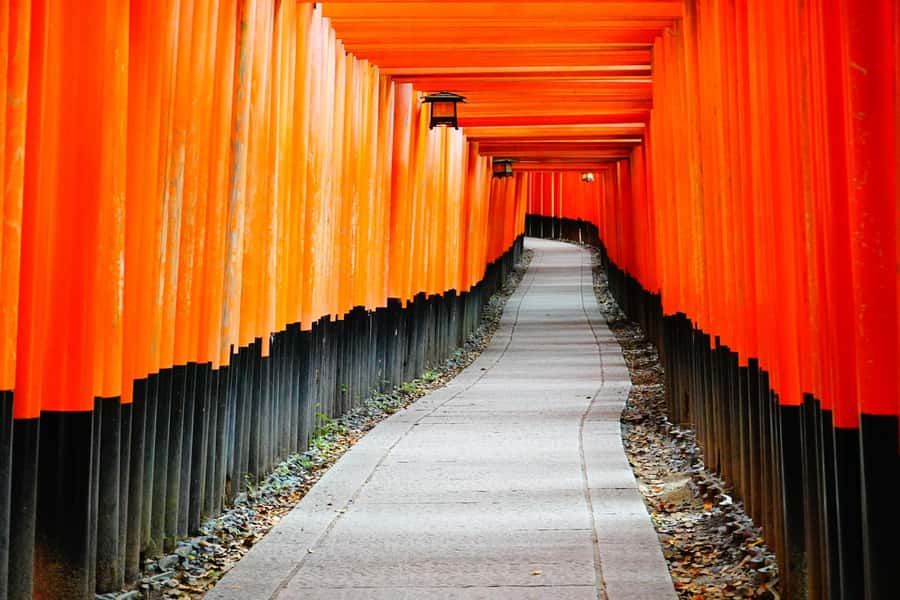 Osaka/Kyoto:Kinkakuji,Arashiyama,FushimiInariShrine,NaraPark - Nara Park and Todai-ji: Deer Encounters and Japan’s Biggest Wooden Star
