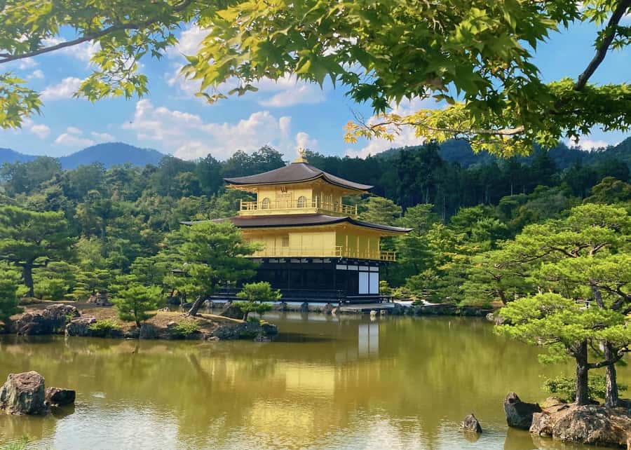 Osaka/Kyoto:Kinkakuji,Arashiyama,FushimiInariShrine,NaraPark - Fushimi Inari Taisha: Walk the Torii Tunnel Up Mount Inari
