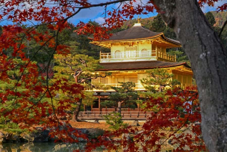 Osaka/Kyoto:Kinkakuji,Arashiyama,FushimiInariShrine,NaraPark - Kobe Beef Shabu-Shabu Lunch Upgrade: A Worth-It Splurge, Not a Freebie