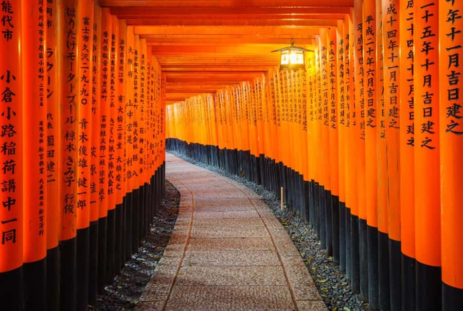 Osaka/Kyoto:Kinkakuji,Arashiyama,FushimiInariShrine,NaraPark - How the Timing Really Feels (It Is About 9 Hours, With Flex)