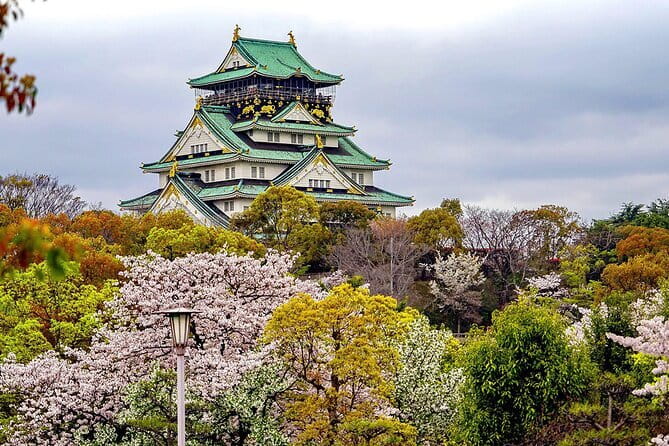 Osaka & Kyoto & Nara Top Hightlights English Speaking Tour - Todai-ji in 20 Minutes: See the Great Buddha Without Burning Your Day