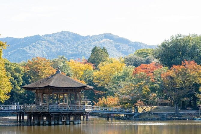 Osaka & Kyoto & Nara Top Hightlights English Speaking Tour - Shinsaibashi One-Hour Break in Osaka: Shopping While You Still Have Energy