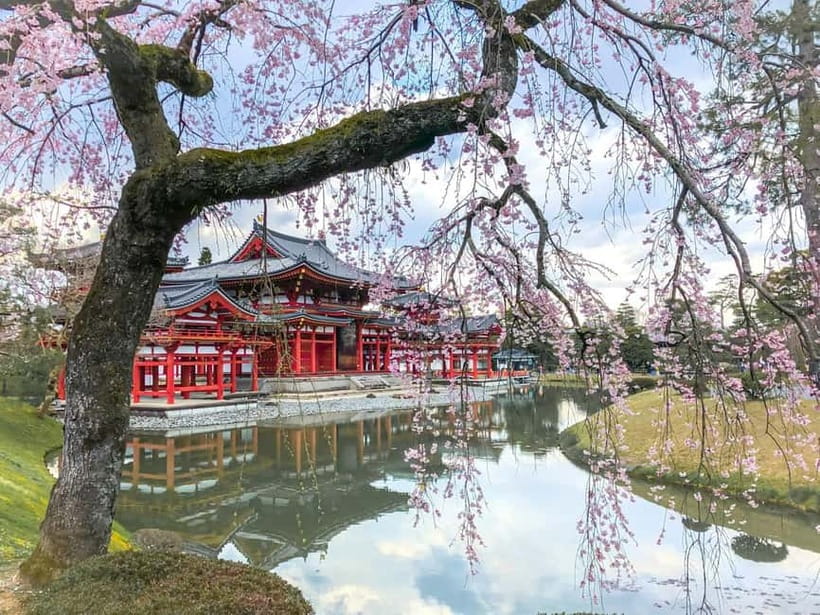 Osaka: Kyoto & Nara & Uji Historical and Scenic One-Day Tour - A One-Day Loop Through Osaka, Nara, Uji, and Fushimi Inari