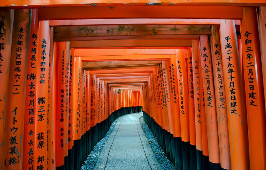 Osaka/Kyoto: Private Kyoto and Nara Day Trip - Transportation details that matter more than you think