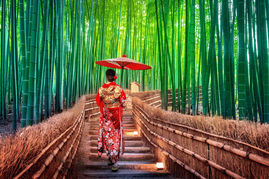 Osaka/Kyoto: Private Kyoto and Nara Day Trip - The 10-Hour Plan: Kyoto only, Nara only, or both
