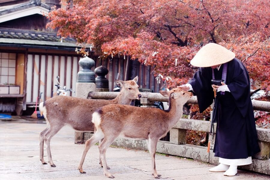 Osaka/Kyoto: Private Kyoto and Nara Day Trip - Arashiyama Bamboo Forest: a photo stop that still feels worth it