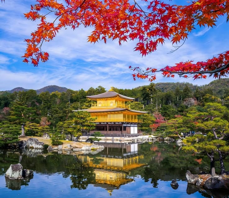 Osaka: Kyoto & Uji Historical Sites and Scenic Delights Tour - A 10-hour Kyoto and Uji route that makes sense (and stays sane)