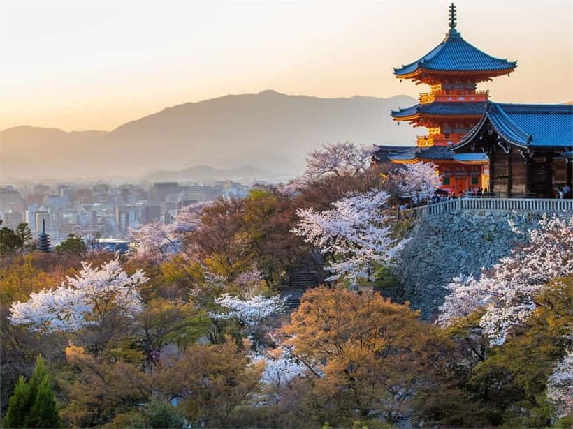 Osaka: Kyoto & Uji Historical Sites and Scenic Delights Tour - Byodo-in and Phoenix Hall: the temple tied to Japan’s money