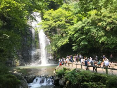 Mino Forest Walk and Giant Waterfall with Local Lunch