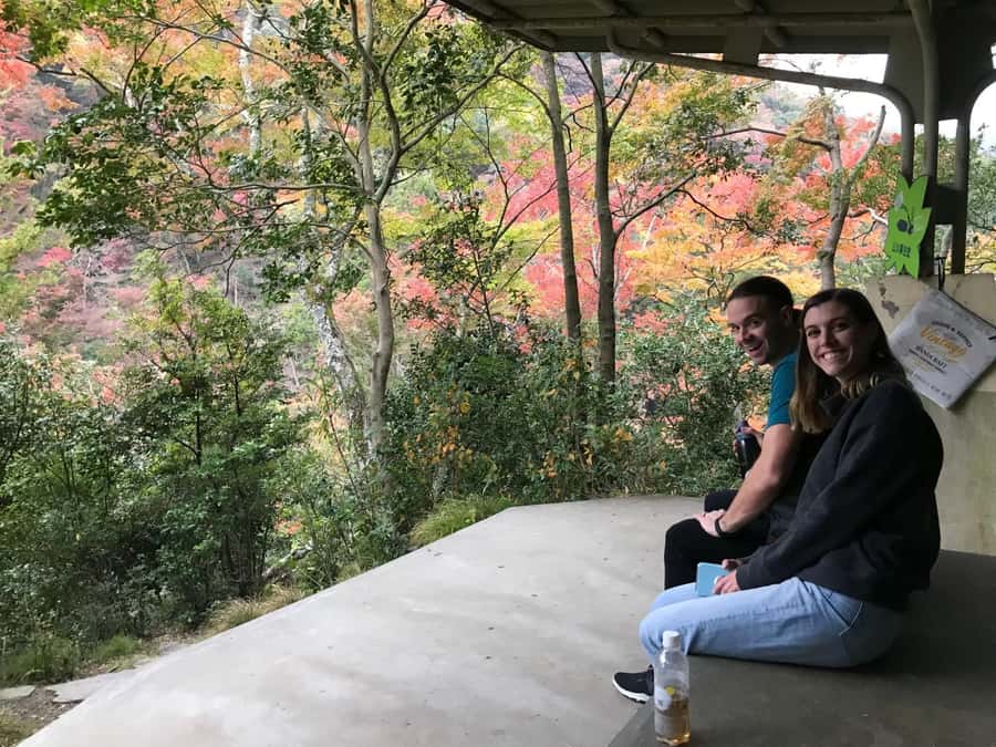 Osaka: Mino Forest Walk and Giant Waterfall with Local Lunch - The forest hike route: easy to follow, designed for real rest