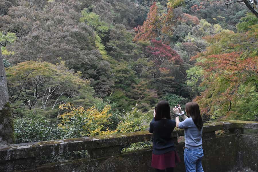 Osaka: Mino Forest Walk and Giant Waterfall with Local Lunch - The return route and how to keep your energy up