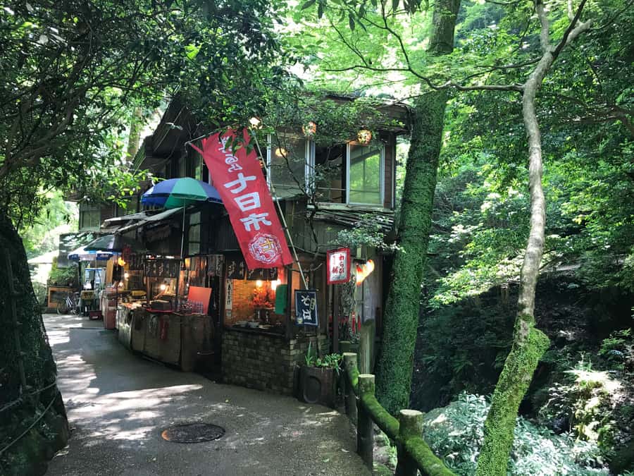 Osaka: Mino Forest Walk and Giant Waterfall with Local Lunch - Price and value: what you’re paying for at $79 per person