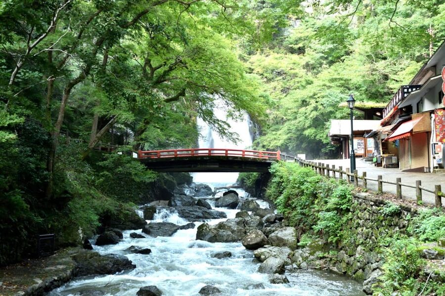 Osaka: Minoh, Katsuoji Temple, & Minoh Falls Full-day Tour - Katsuo-ji Temple: Daruma Dolls, Gardens, and Nara-Period Roots