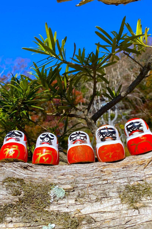 Osaka: Minoh, Katsuoji Temple, & Minoh Falls Full-day Tour - The Minoh Falls Taxi Hop and Your First Look at the Water