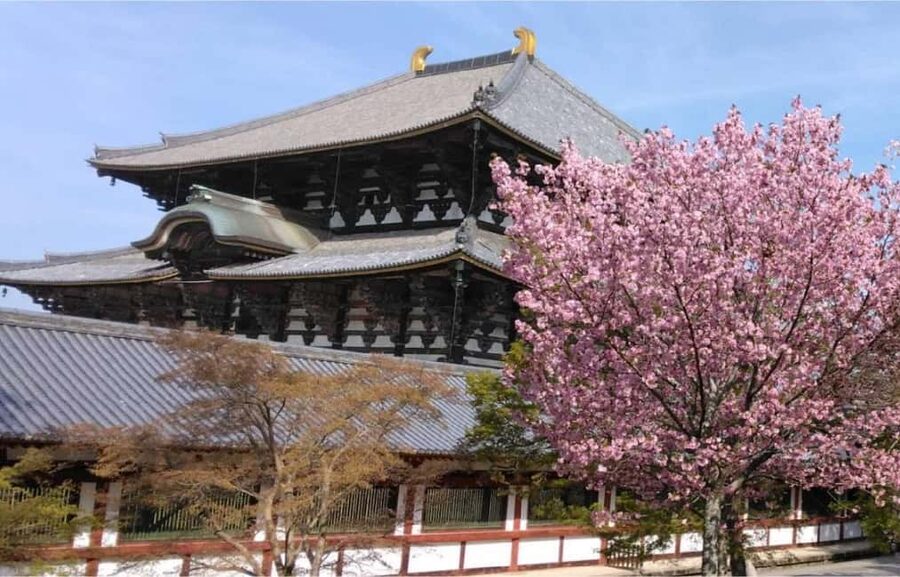 Osaka: Nara and Uji Day Trip with Deer Park and Hot Spring - Key Points That Make This Trip Worth Your Time