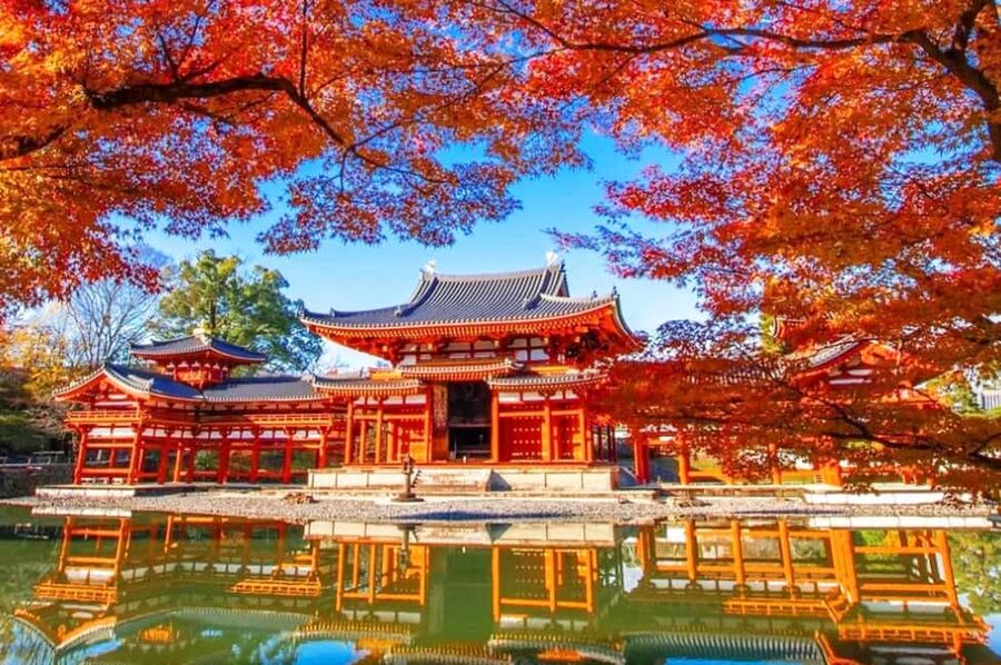Osaka: Nara and Uji Day Trip with Deer Park and Hot Spring - A One-Day Combo: Nara Deer, Temple Icons, and Uji Matcha