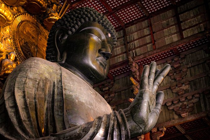 Osaka & Nara in 1-Day by Private Van with Local Expert Guide - Key things that make this tour worth your time