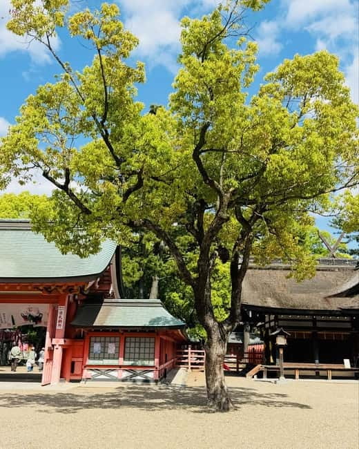 Osaka & Nara: Private Tour with English speaking guide - Shitennoji and Sumiyoshi Taisha Shrine, old faith with real character