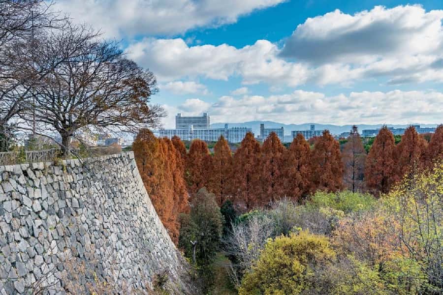 Osaka: Osaka Castle 3 hours Historical Walking Tour - Observation Deck City Views That Explain the Castle’s Strategy