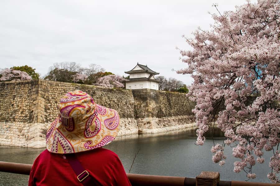 Osaka: Osaka Castle 3 hours Historical Walking Tour - Nishinomaru Garden: A Calm Reset With Big Castle Views