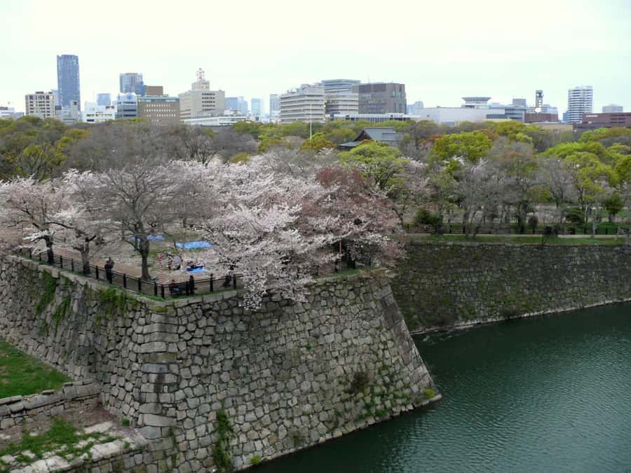 Osaka: Osaka Castle 3 hours Historical Walking Tour - Osaka Castle Park: Where History Meets Everyday Life