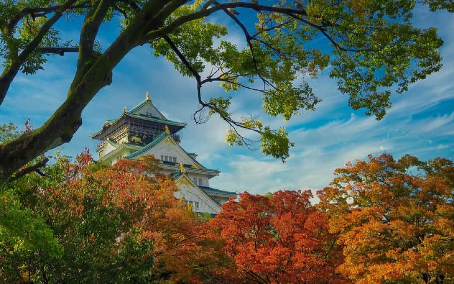 Osaka: Osaka Castle 3 hours Historical Walking Tour - How Miraiza Osaka Adds a Modern Chapter (Not Just Samurai)