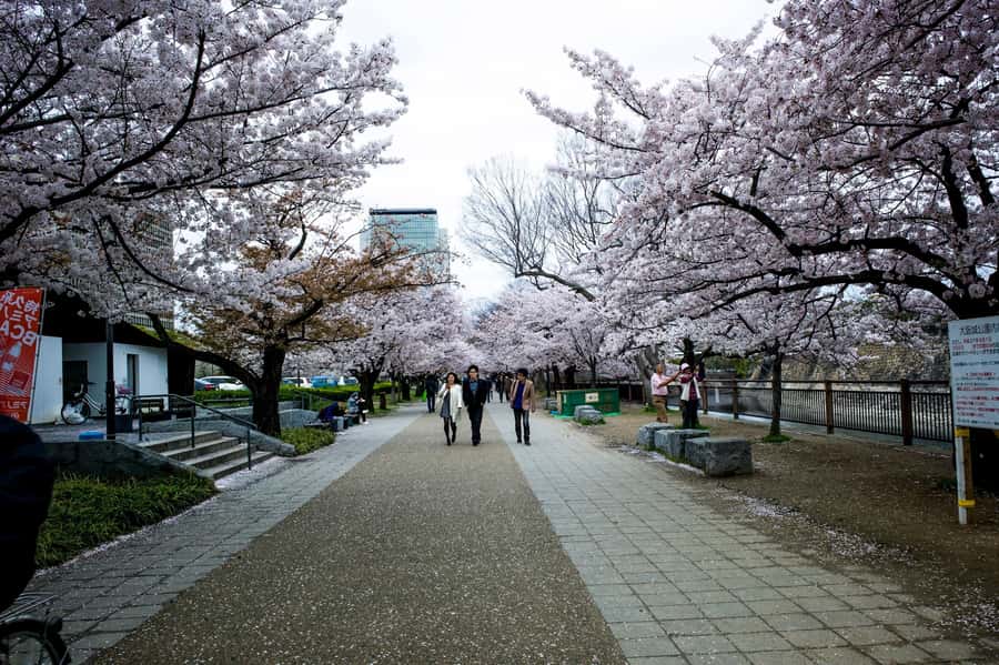Osaka: Osaka Castle 3 hours Historical Walking Tour - Who This Tour Suits Best (And Who Should Skip It)