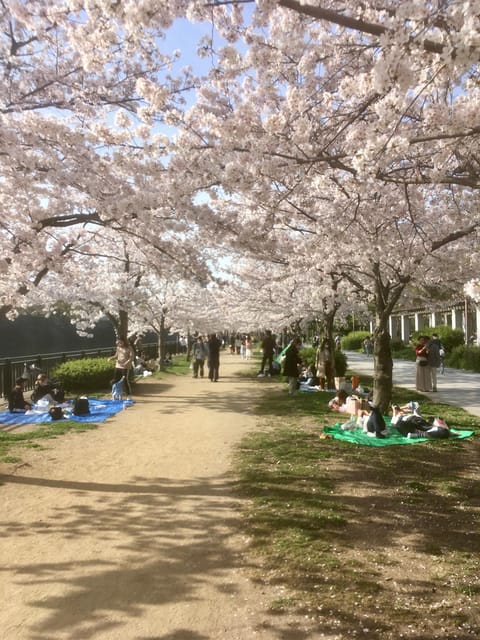 Osaka: Private and Fully Customized Tour with Hotel Meet Up - Key highlights to know before you go