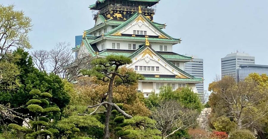 Osaka: Private and Fully Customized Tour with Hotel Meet Up - Price and value: what $109 covers, and what you’ll still pay