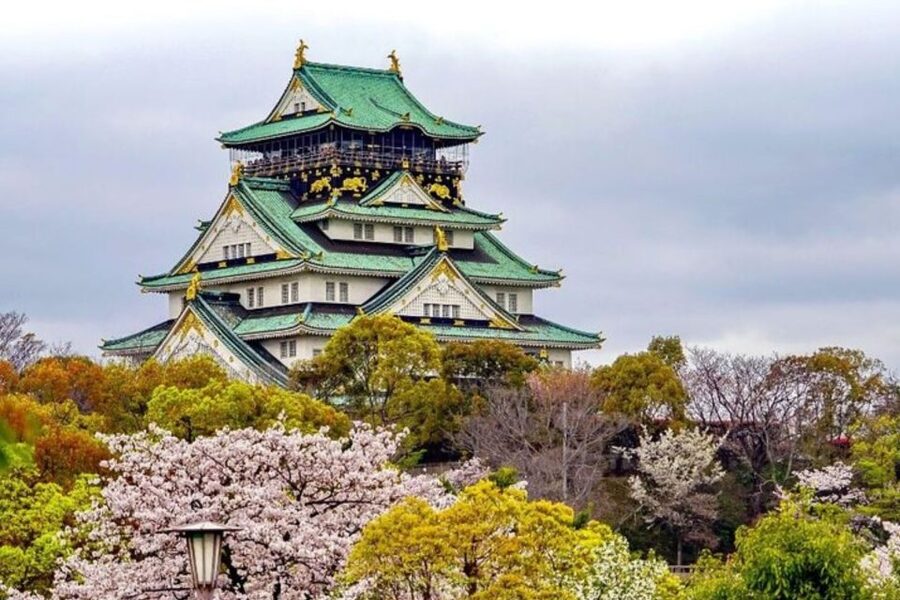 Osaka: Private Custom Walking Tour with a Local Guide - Price and value: why $62 per person can make sense