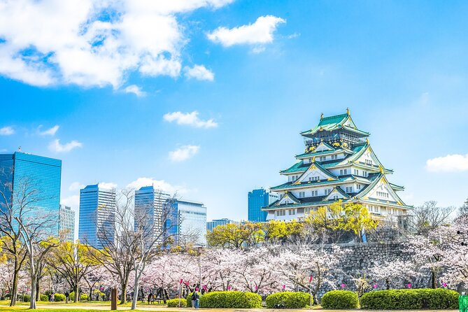 Osaka Private Day Trip - Enjoy Your First-Time Visit to Osaka! - Key Things I’d Prioritize on This Trip