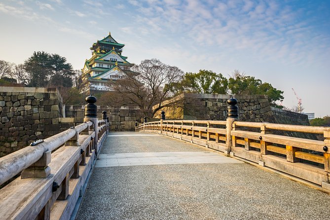 Osaka Private Pop Culture Tour: Historic Tenma to Dotonbori - Stop-by-stop: from historic Tenma lanes to shrine alley mood