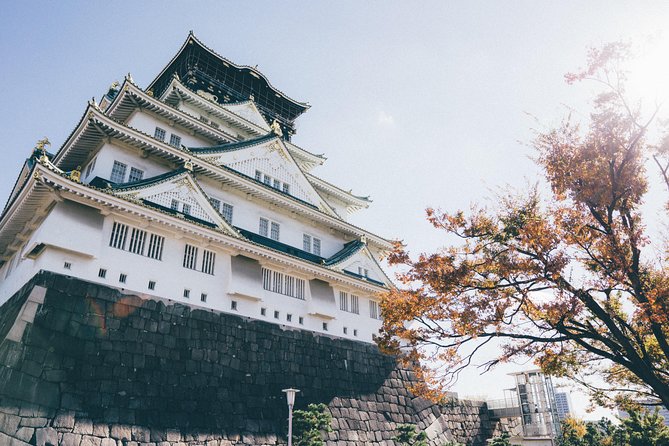 Osaka Private Pop Culture Tour: Historic Tenma to Dotonbori - Character-goods shopping without turning the day into a mall mission