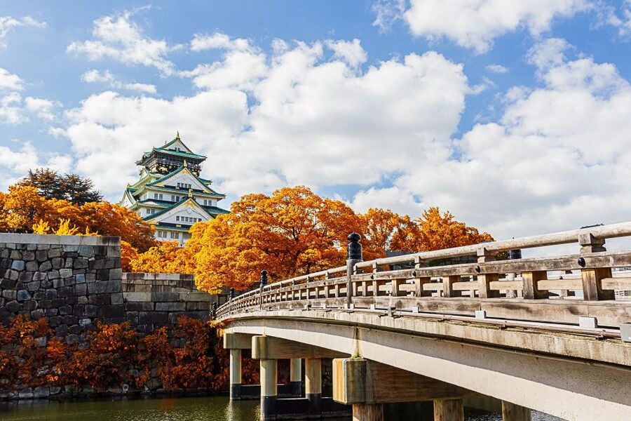 Osaka Private Tour with Government-Licensed Guide - Should you book this Osaka private tour?