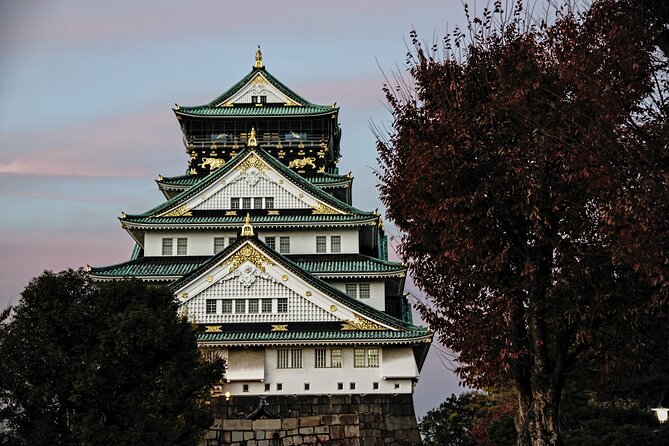Osaka Private Walking Tour with a Local - The non-negotiables: walking time, shoes, and weather reality