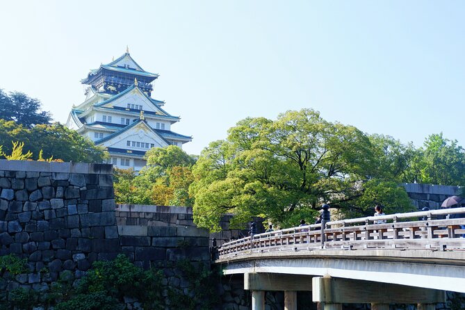 Osaka Private Walking Tour with a Local - Language, matching, and how to avoid disappointment